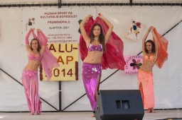 falunap2014_11_20180901